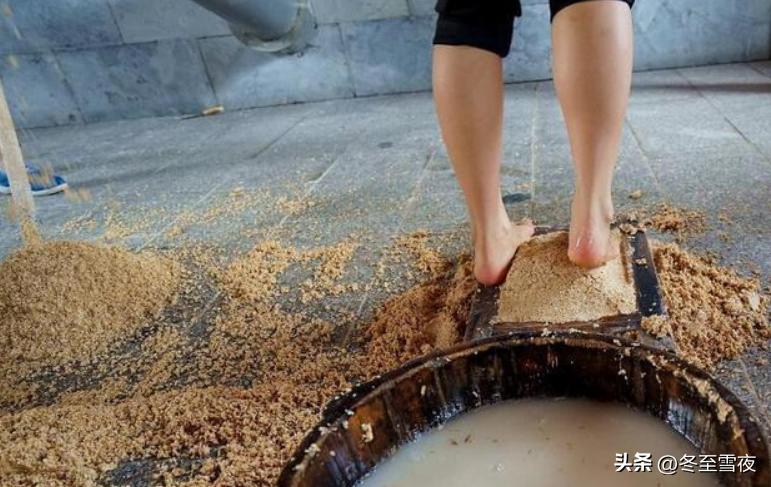 贵州茅台酒厂员工真实情况,茅台酒厂员工酿酒私照曝光