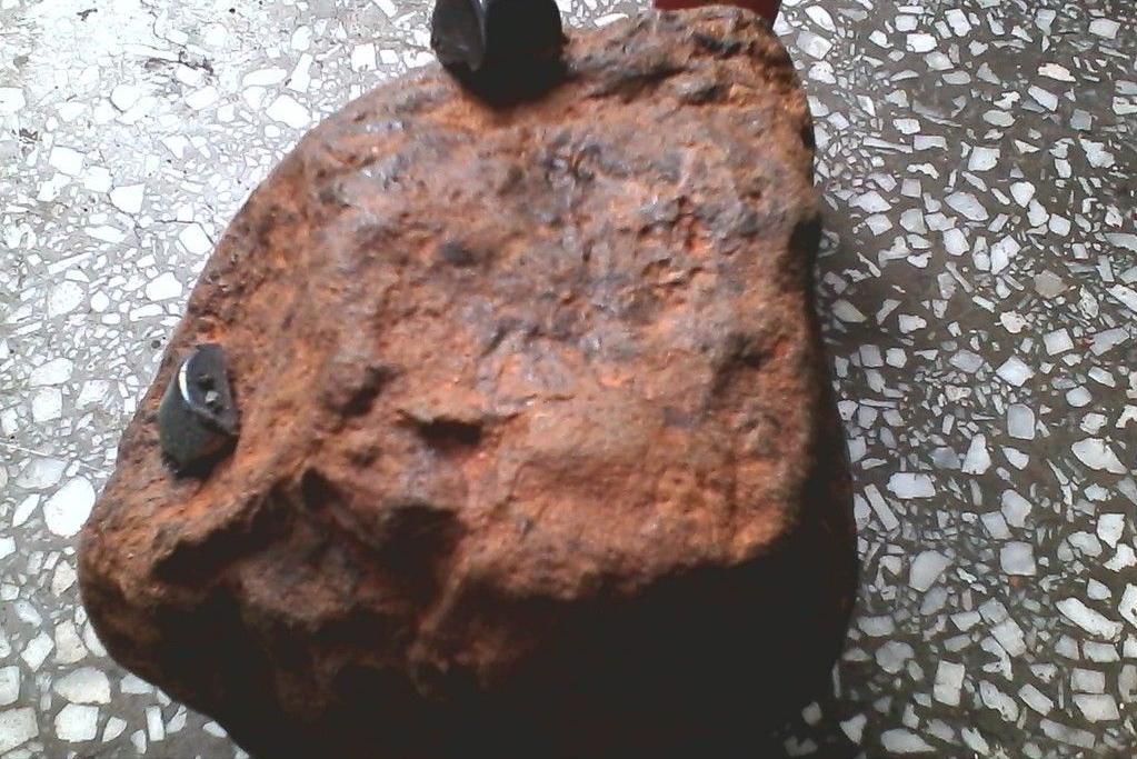 撸铁棒重现民间！给老百姓带来暴利，明令禁止背后隐藏危机