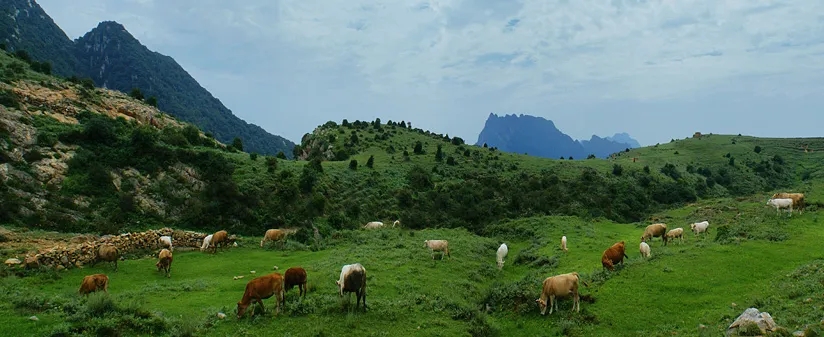 郑州周边1小时车程0元免费的私房打卡地【点赞收藏，早晚有用】
