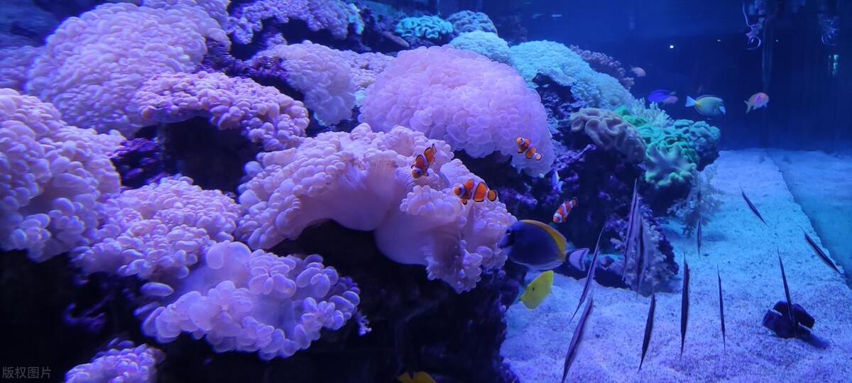 长沙最火十大网红景点,长沙亲子游必去十大景点