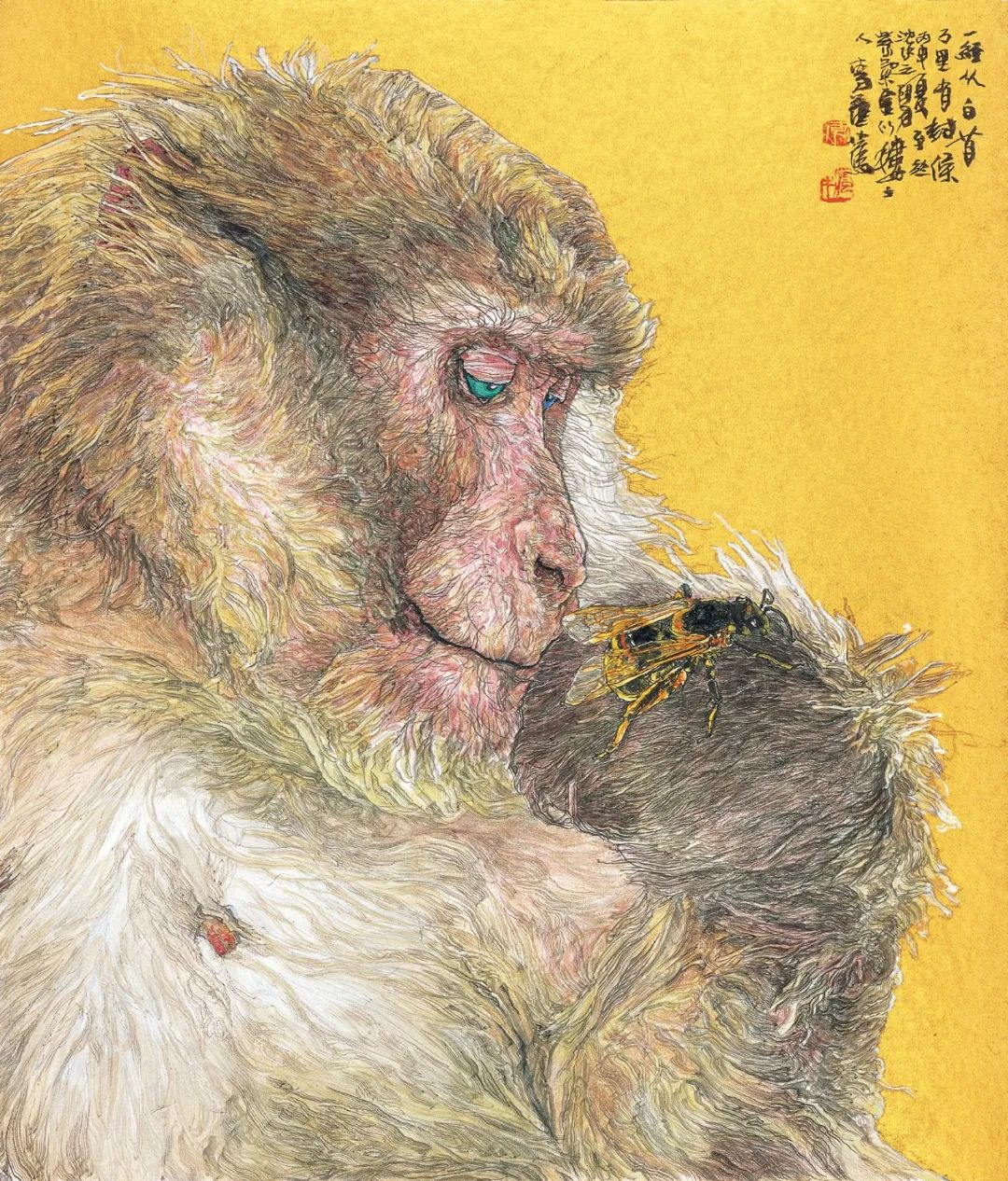 时代审美演变,时代审美和个人审美