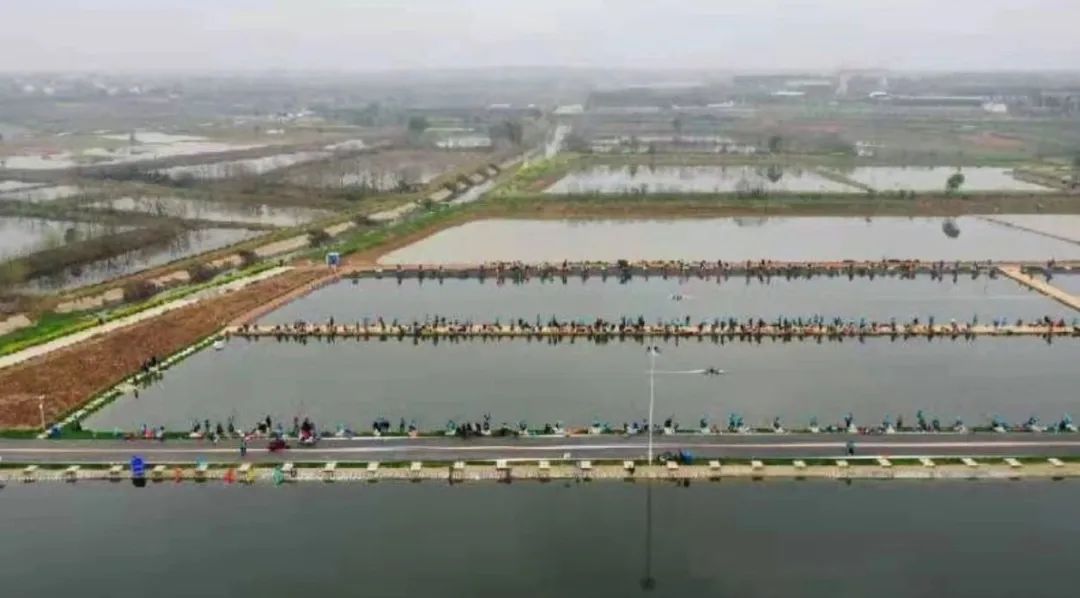 @钓鱼爱好者,这里有场钓鱼比赛邀你来参加