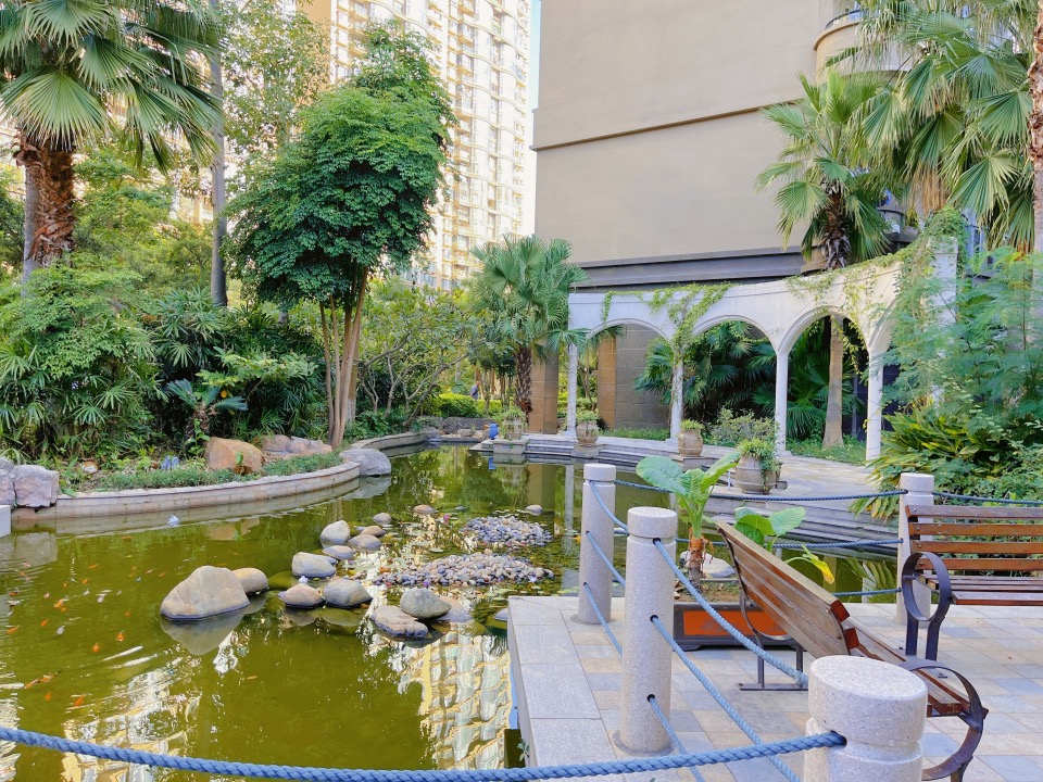 与城市共成长地产宣传片,与特区共奔美好未来