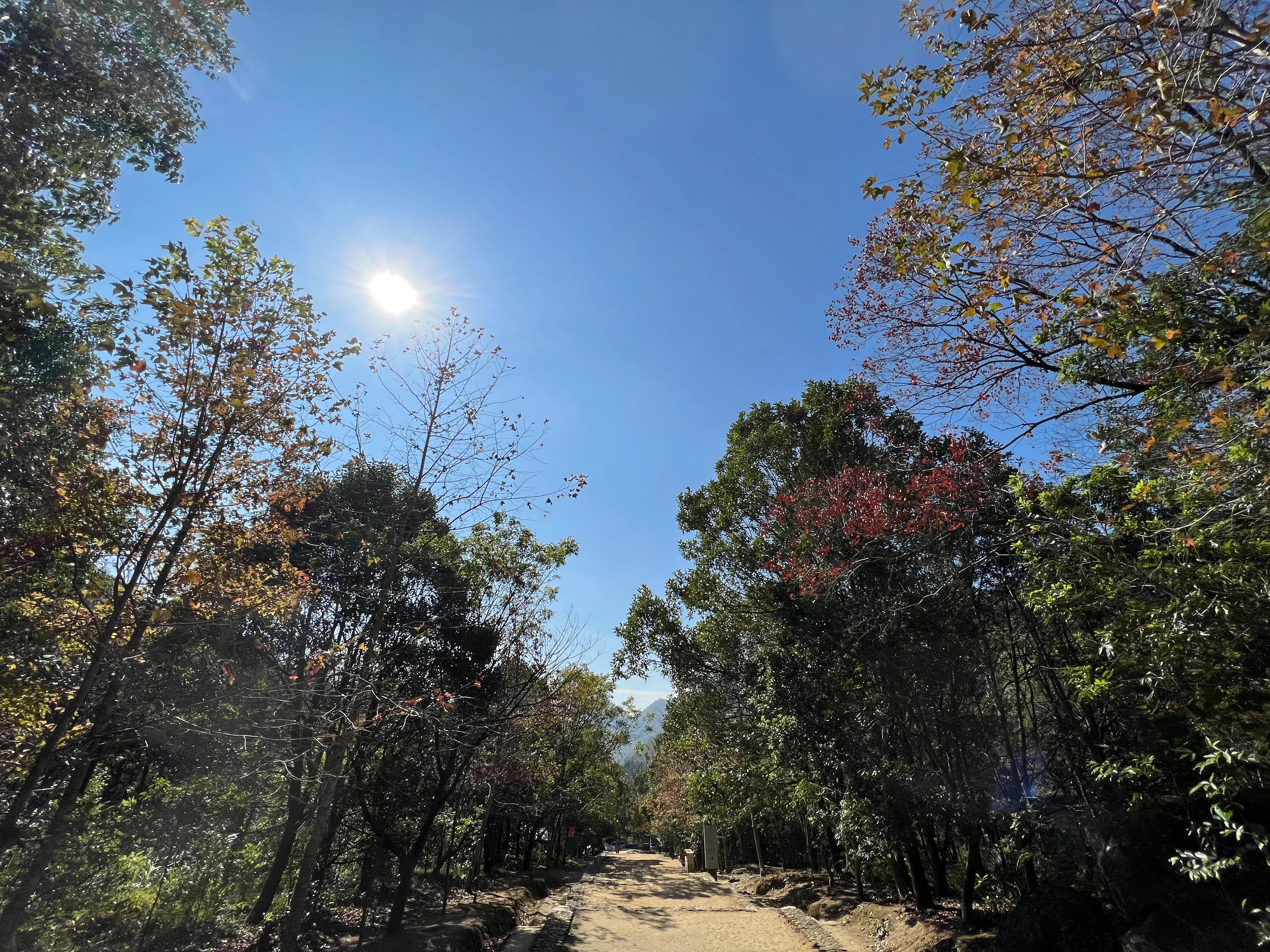 韶关新丰云髻山介绍,广东新丰云髻山旅游攻略
