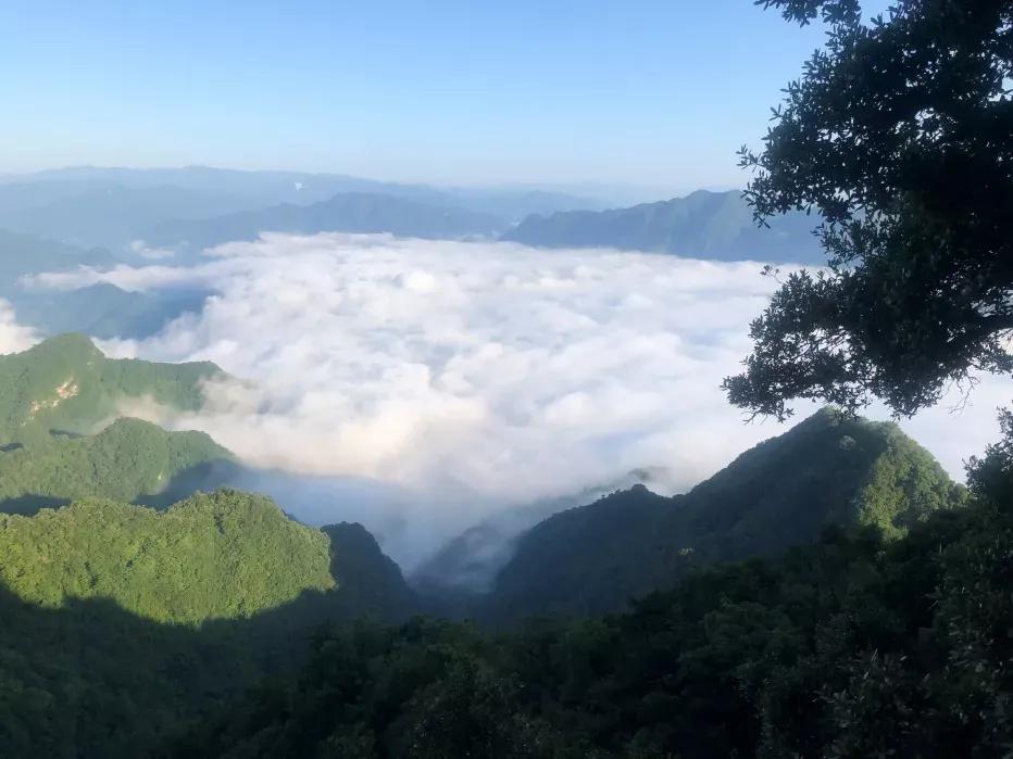 兰州大学人文地理,兰州大学荒漠