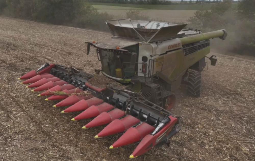 格拉斯大型联合收割机收割视频,大型克拉斯收割机工作视频