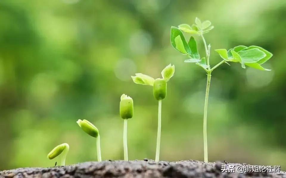 如何教孩子手机不离手,初二孩子手机不离手怎么办