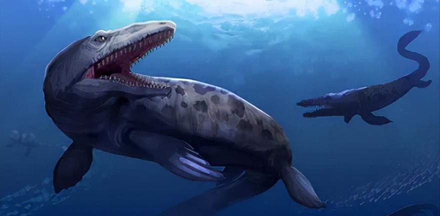 恐龙世界认识史前各种恐龙,食草恐龙和食肉恐龙科普视频