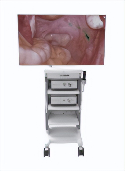 2022医院满意度,医院满意度视频