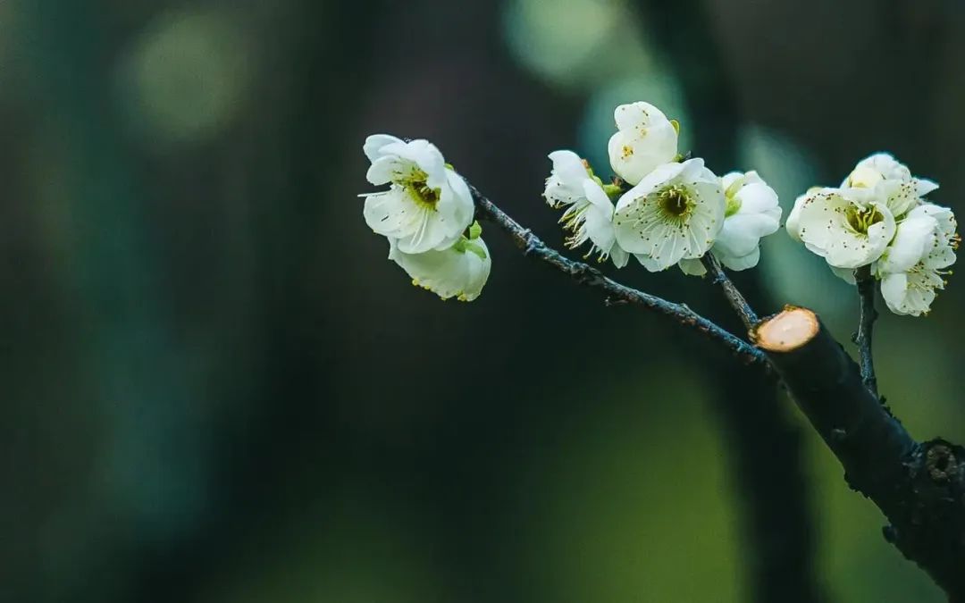 【期末复习】那一刻，我长大了（五年级下第一单元作文范文29篇）