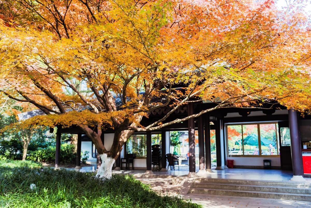 大连之旅的美景,大连海岛旅行感受