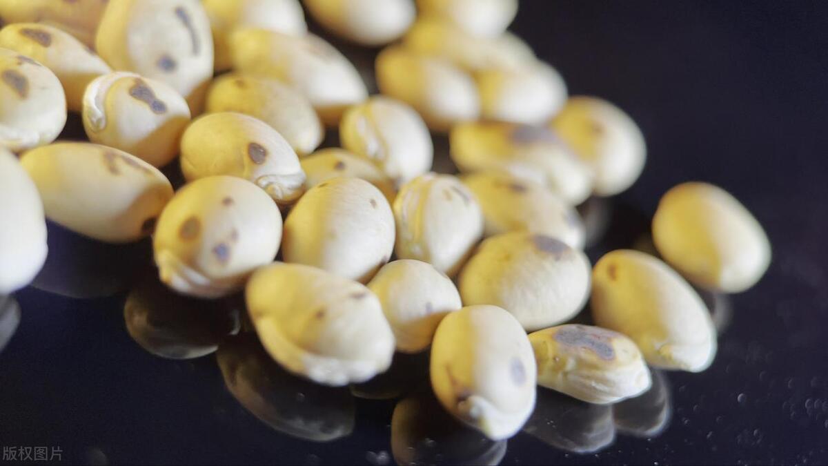 鐨偆娌硅吇闀跨棙涓尰杈ㄨ瘉,鑴镐笂娌硅吇闀跨棙涓尰濡備綍璋冪悊