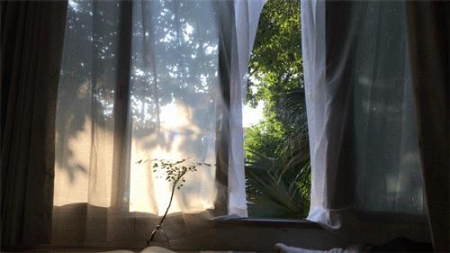 如何去除甲醛真实除醛经历分享,现在除甲醛最先进的方法