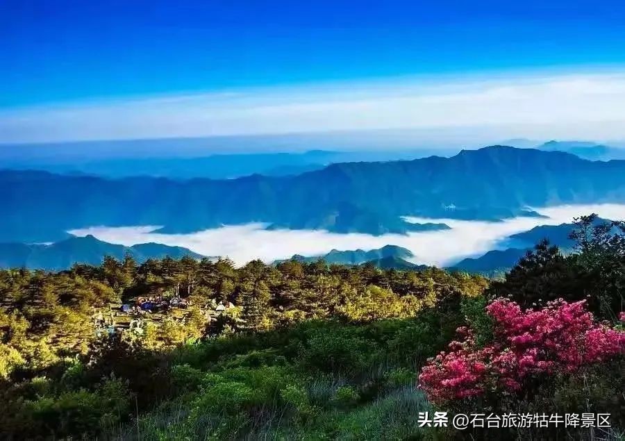 牯牛降春景,牯牛降年味