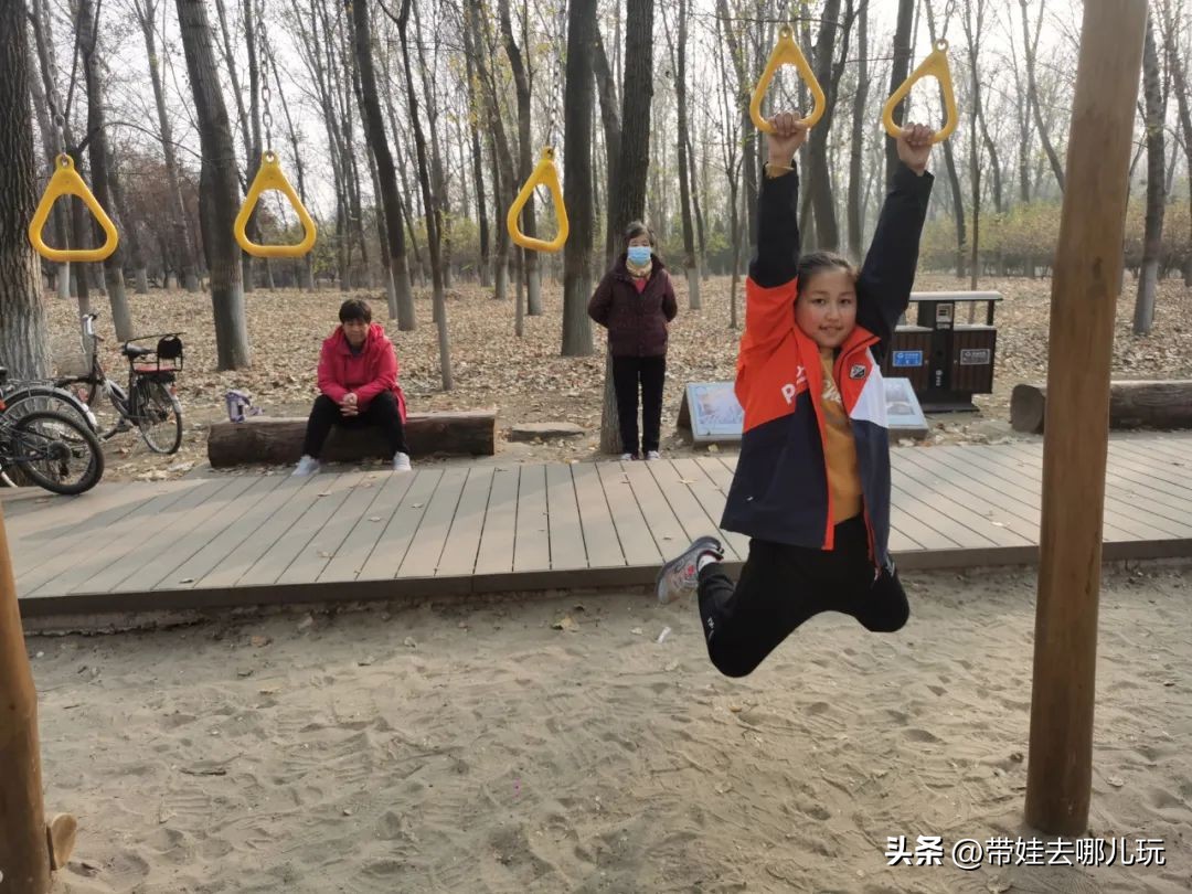 骑行国家森林公园,徒步骑行森林公园