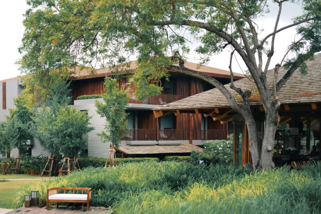 在泰国待了14天,在泰国待了60天