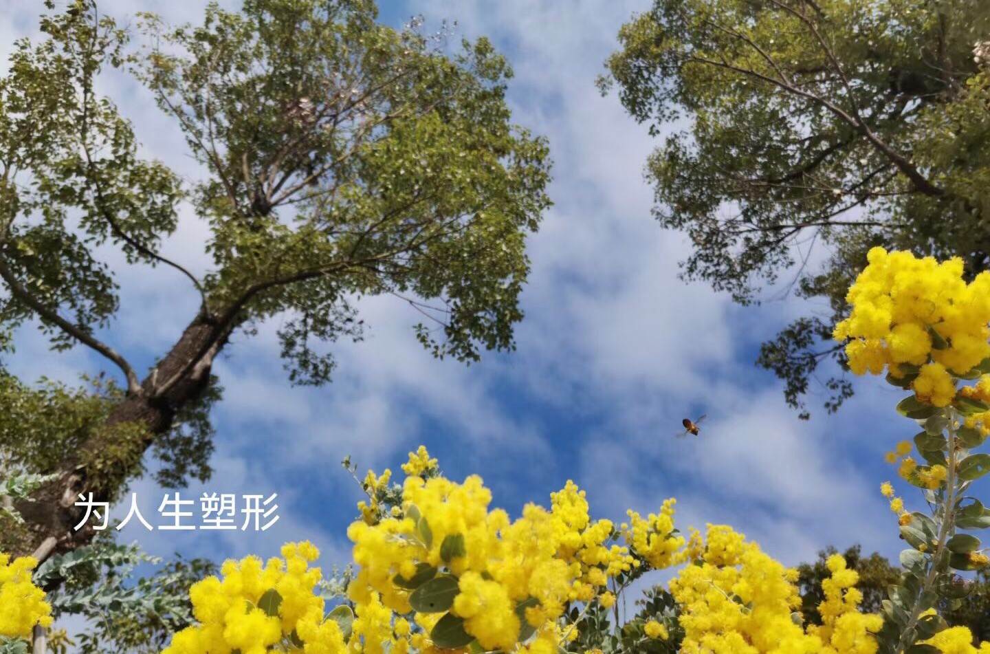 我，湖北女人，老公卖婚房助我做外贸，公司却破产了，我负债累累