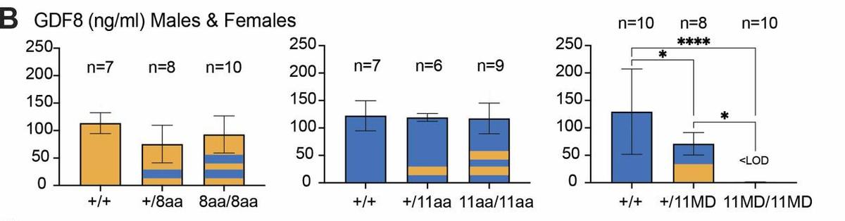 探究GDF11和GDF8氨基酸替代对骨骼发育相关信号通路的实用性研究
