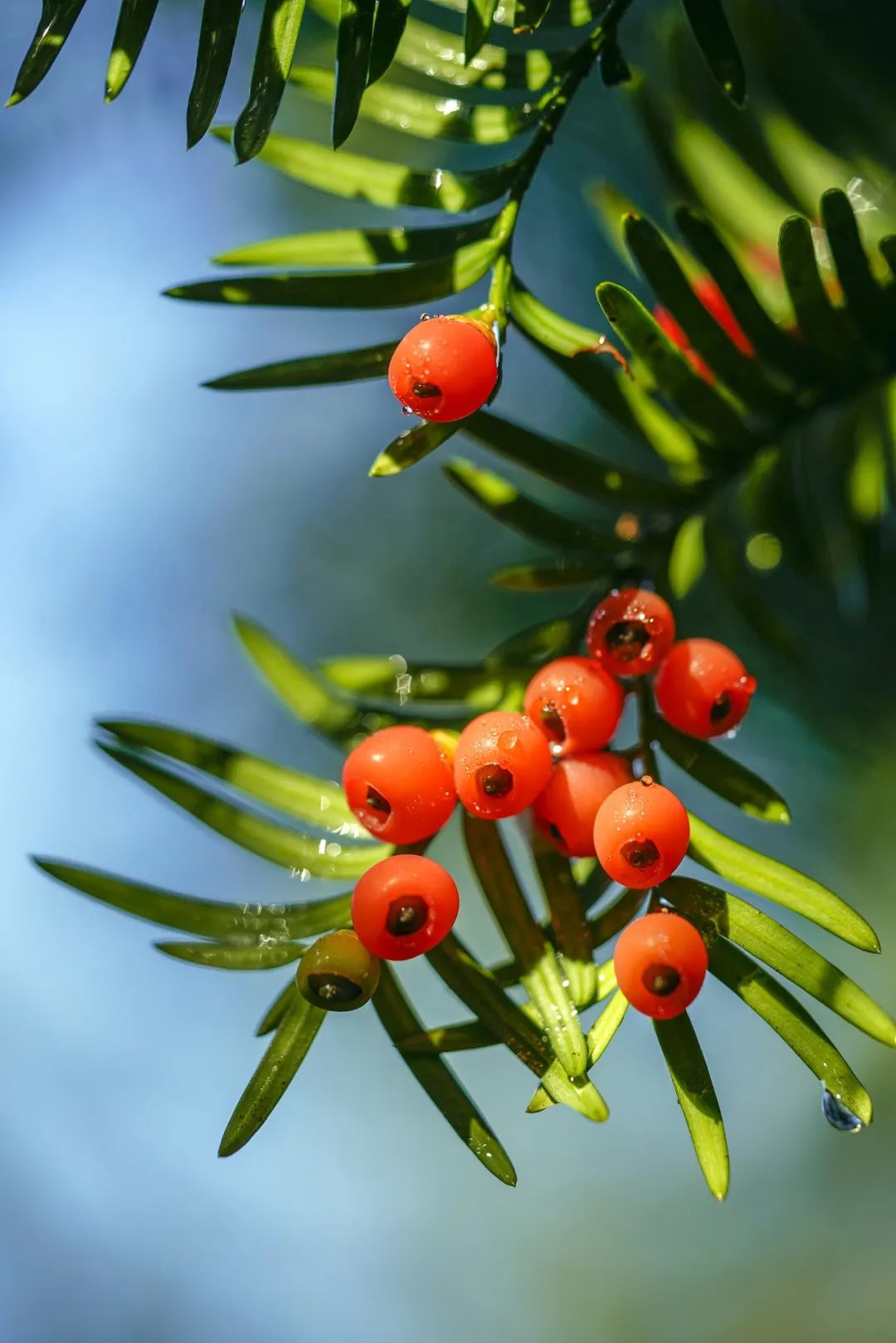 施秉云台山,焦作云台山