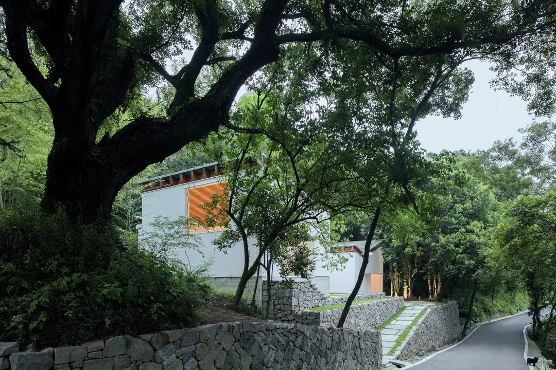 山村改造一处不错的民宿接待中心,2万元改造民宿