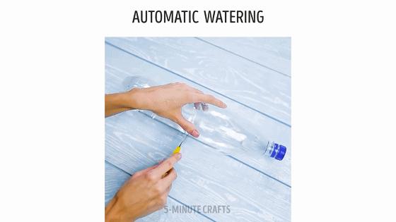 家庭阳台各种各样蔬菜种植视频,阳台种蔬菜需要加微生物有机肥吗