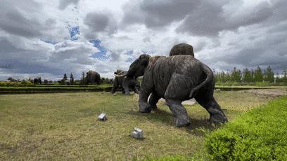 研学旅行是否成杀猪盘,研学高价收费