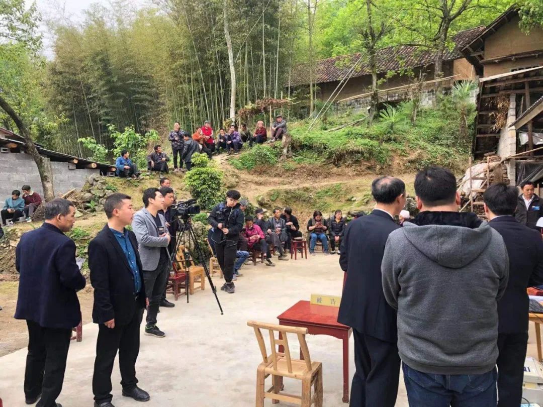 身穿“制服”、头顶彩灯，就职三个月，这个法庭新人“35号”有话要说……