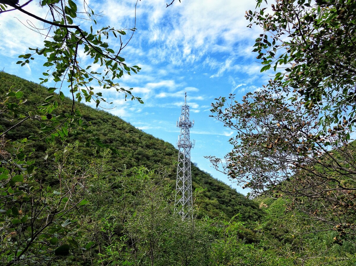 宠物托运包车攻略,宠物托运黄山
