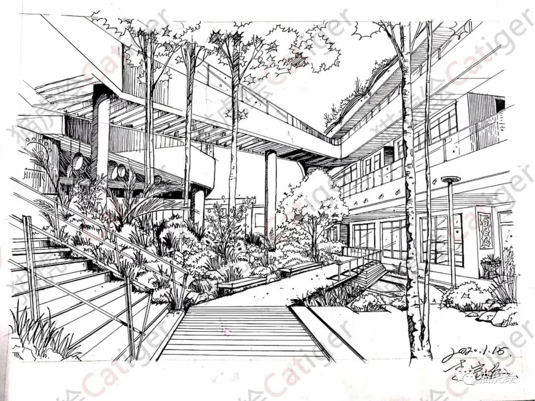 2022猫虎绘暑假手绘班招生简章「线上+线下」