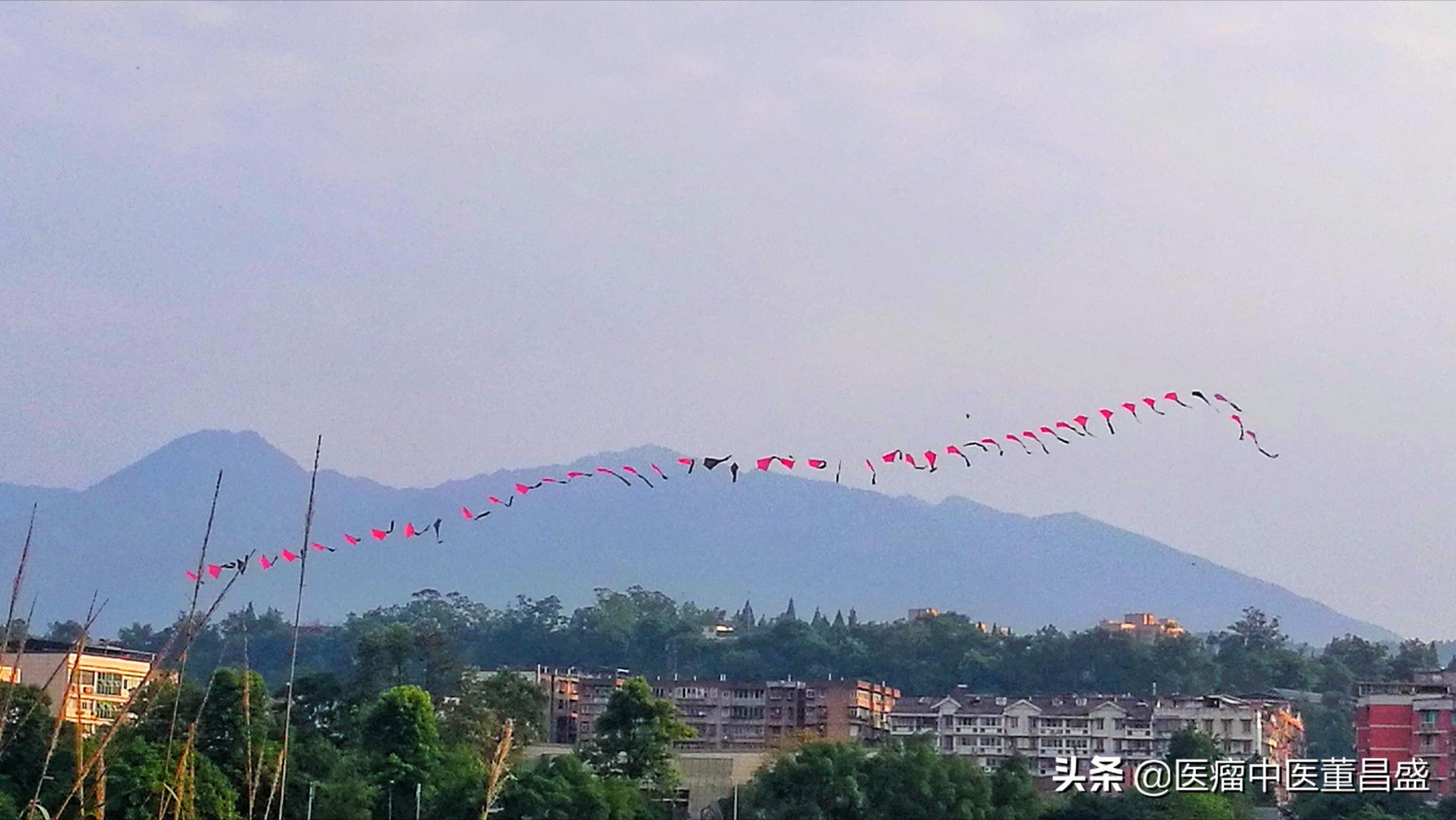 风热感冒经典中药处方,风热感冒偏方冰糖雪梨