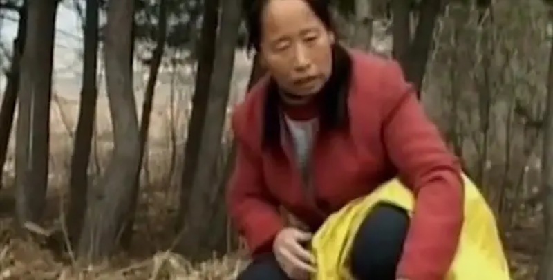 95年吉林农妇好心救毒蛇,吉林农妇好心收养毒蛇