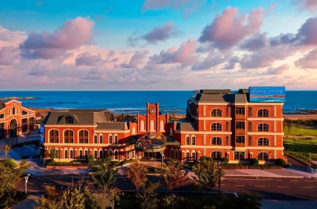 青岛啤酒哪一年的,青岛啤酒再度引领高端化热潮