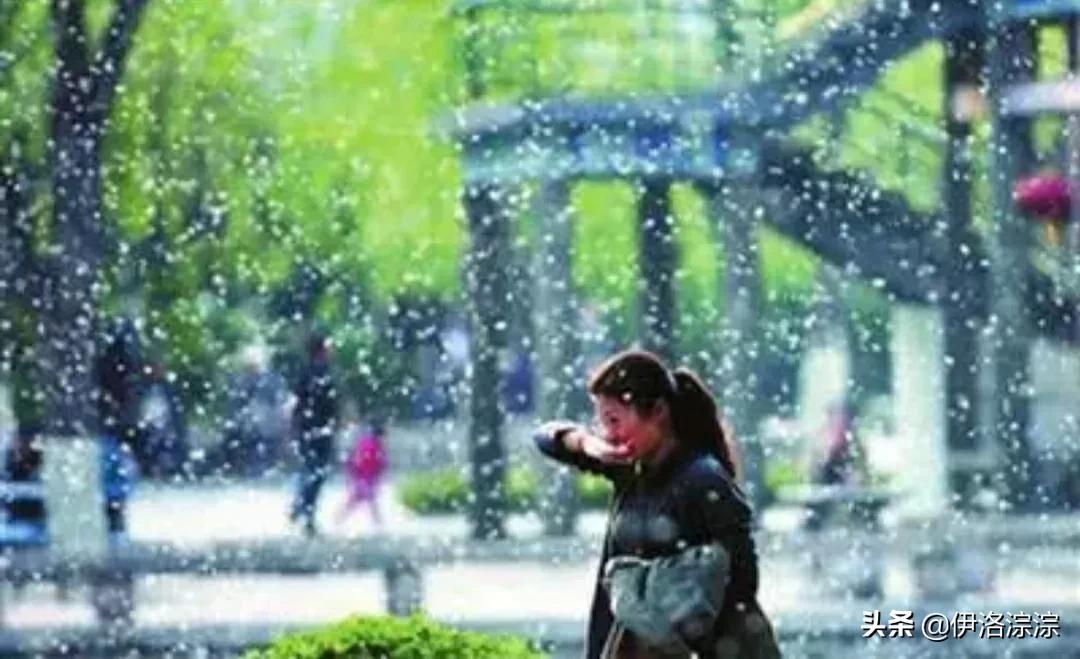 烟雨是指什么季节的雨,烟雨是仄声吗