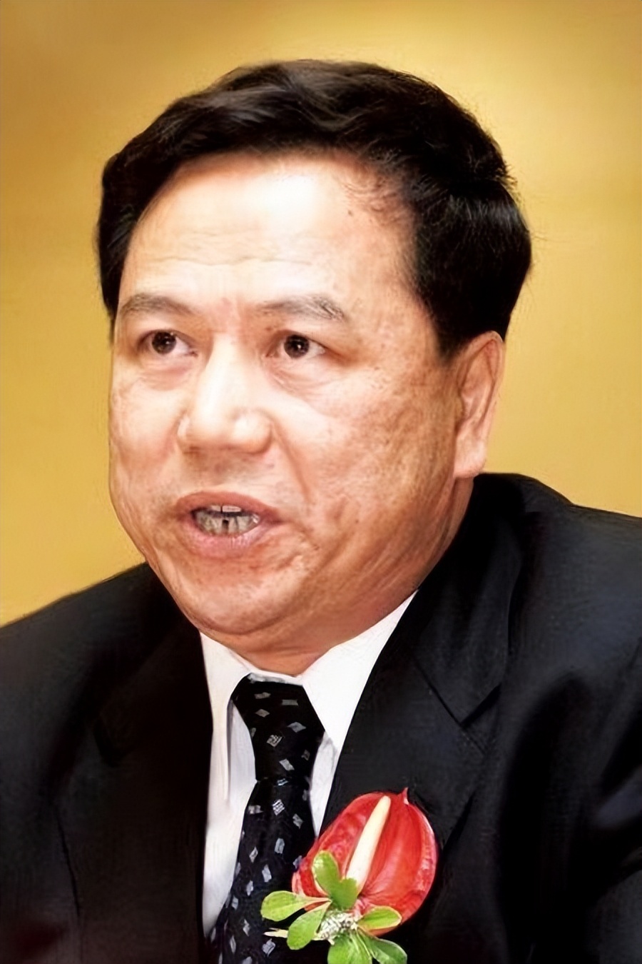 王艳23岁嫁入豪门跟老公差几岁,王艳嫁入豪门真实生活