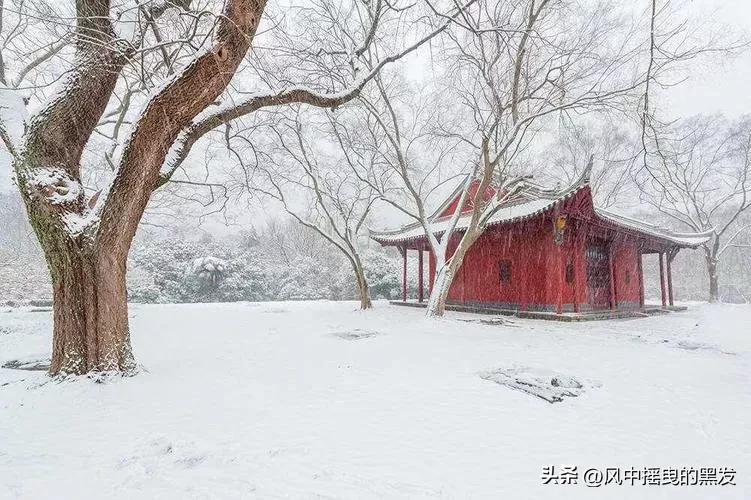 一天学一句古文,一天学一句经典语录