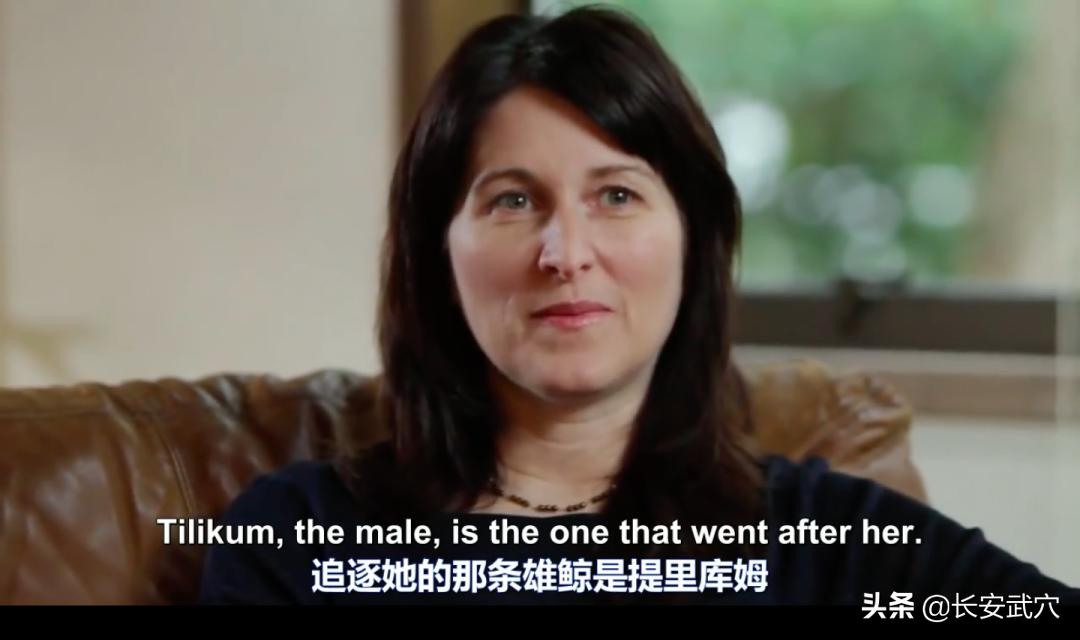 全网最近大事件,最大丑闻案件