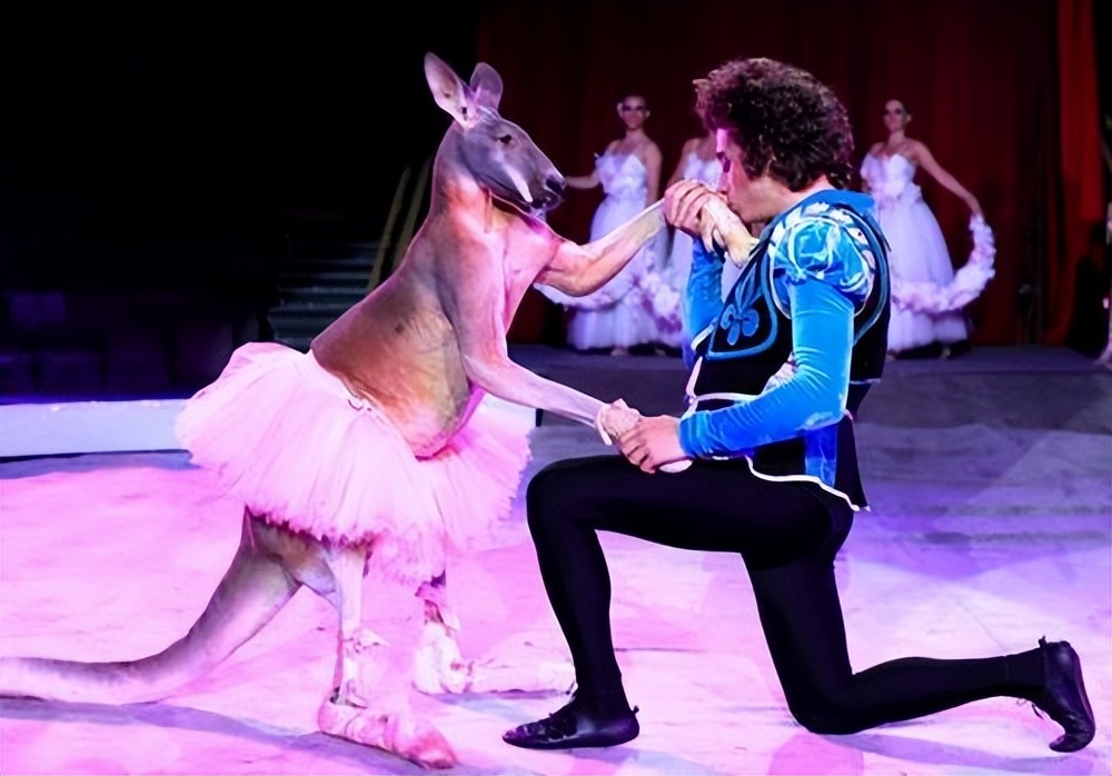 俄罗斯国粹国家大马戏,俄罗斯国粹芭蕾舞