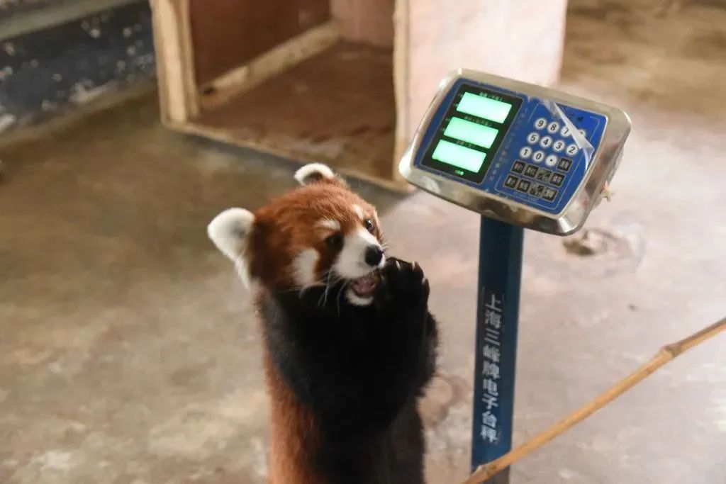 冰城夏都|拒绝宅在家，这几个周边游好去处快收藏！