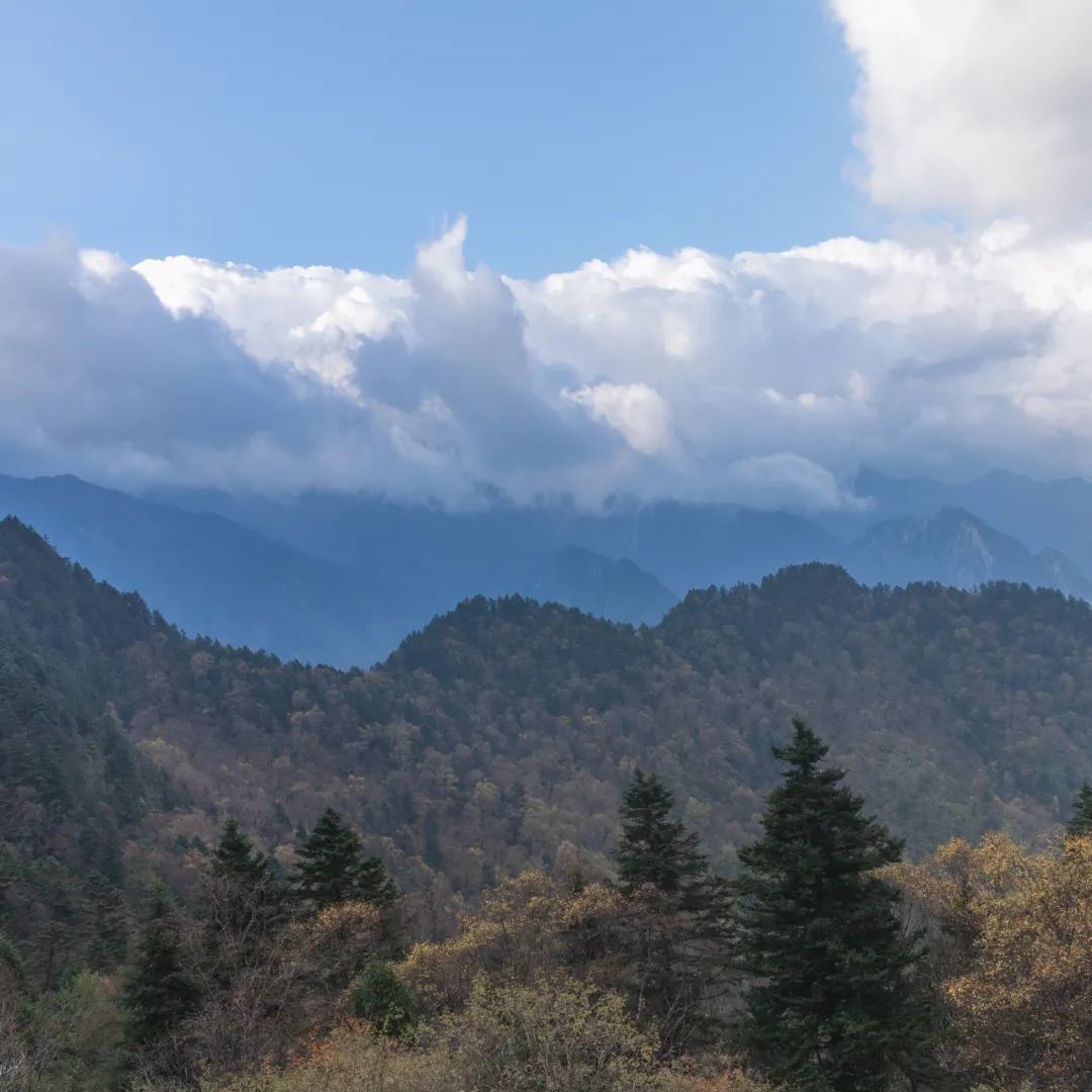 登太白山感受,太白山景区登顶拔仙台