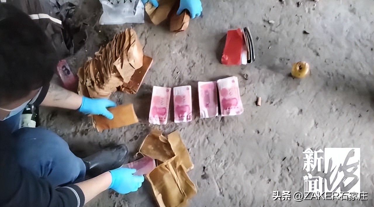 早新闻2.19|事关新业态从业人员！石家庄出台新规；5月1日起实行商品房买卖合同电子签约；今日“雨水”！