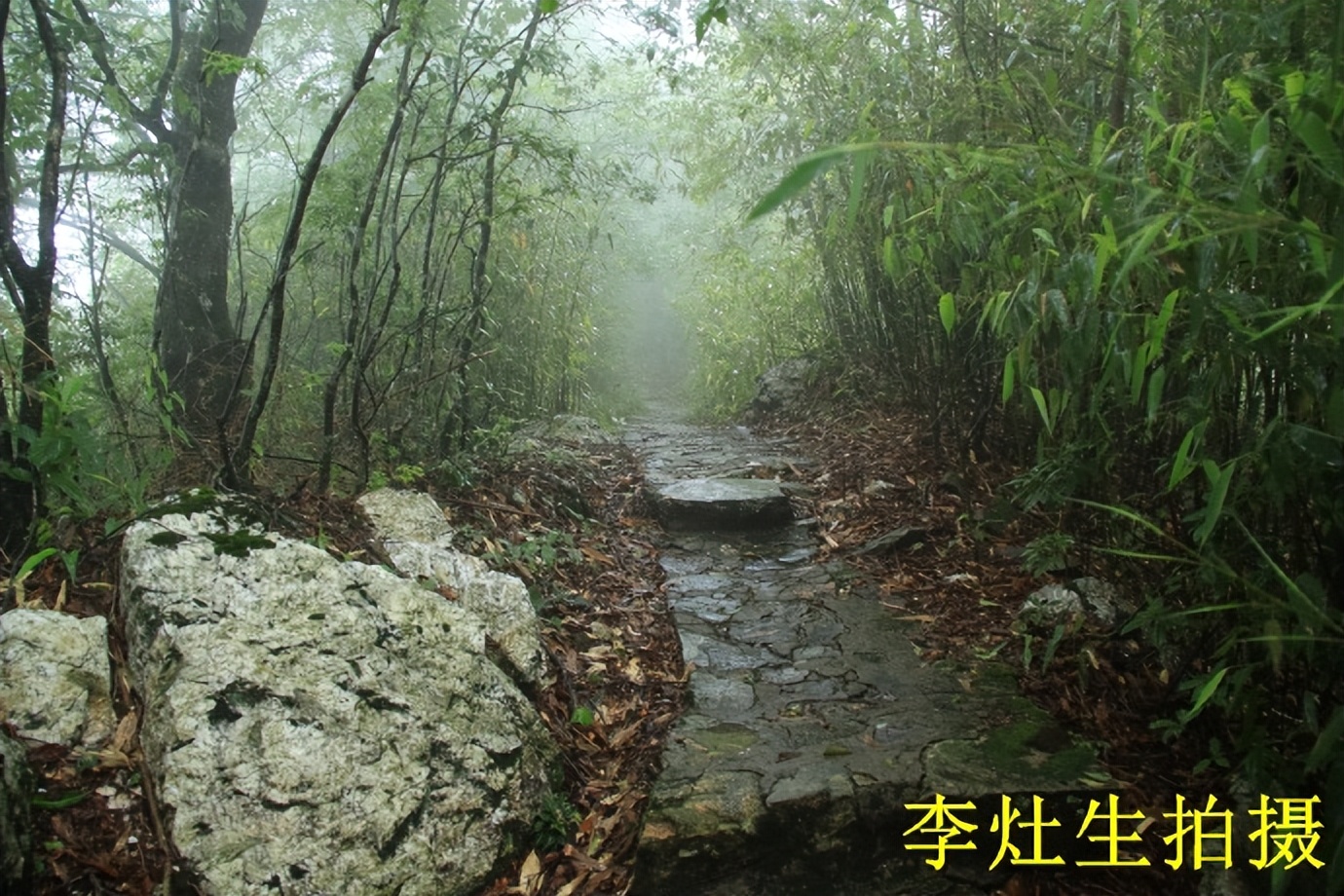 桂林猫儿山老山界,老山界猫儿山