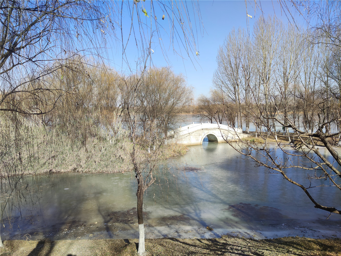 西安人工湿地公园,西安最好的湿地公园