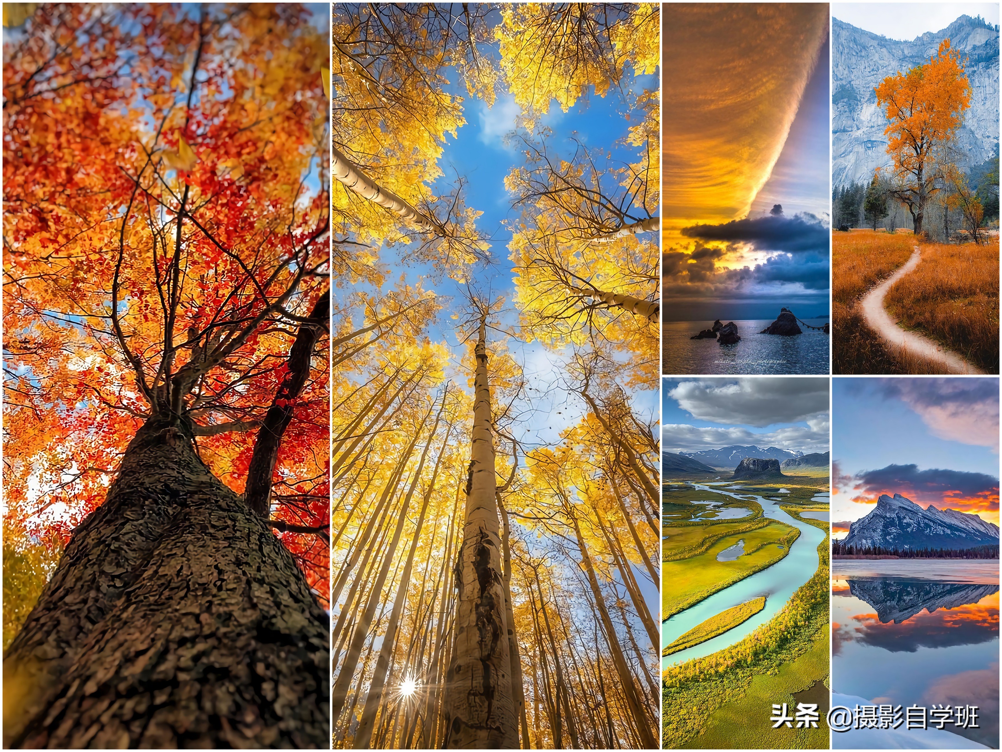 拍美景技巧室内,新手拍人像风景选什么相机