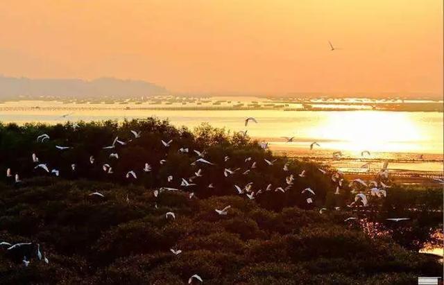 广东十大旅游景点必去的地方,广东最冷门景点排名