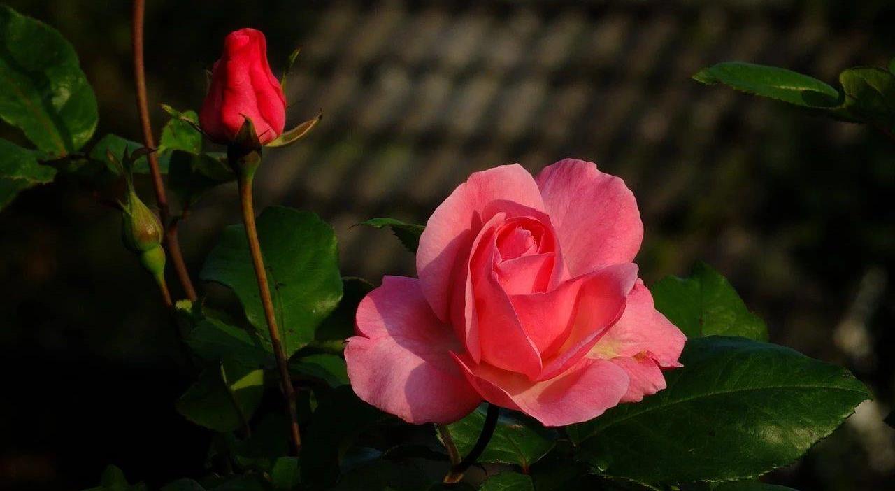 女人跟男人分居一年半什么原因,长期分居的女人最怕男人哪种行为