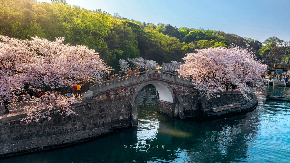 2018无锡之旅,江苏无锡赏花双人自由行