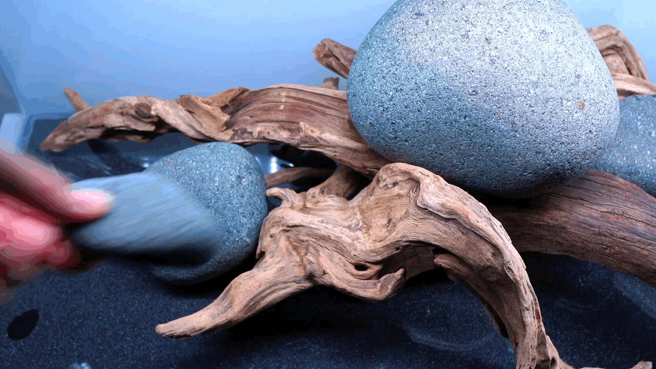 水草小缸养什么鱼最好,适合小型裸缸养的鱼