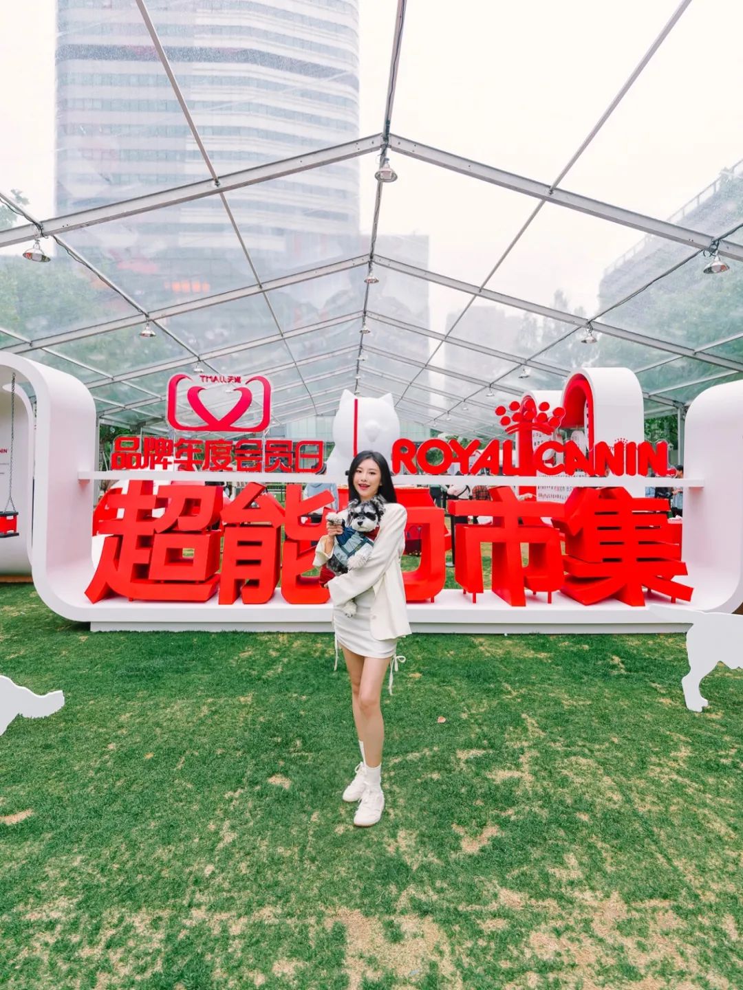 市区100平米宠物游乐园,宠物游乐场室内