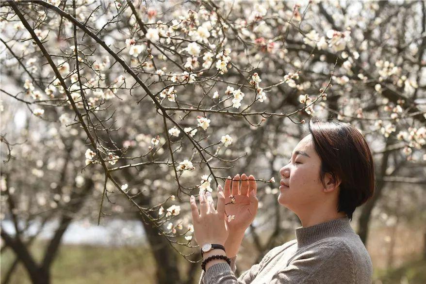 线上逛年货|不私藏了，这份龙丘珍味清单请签收！
