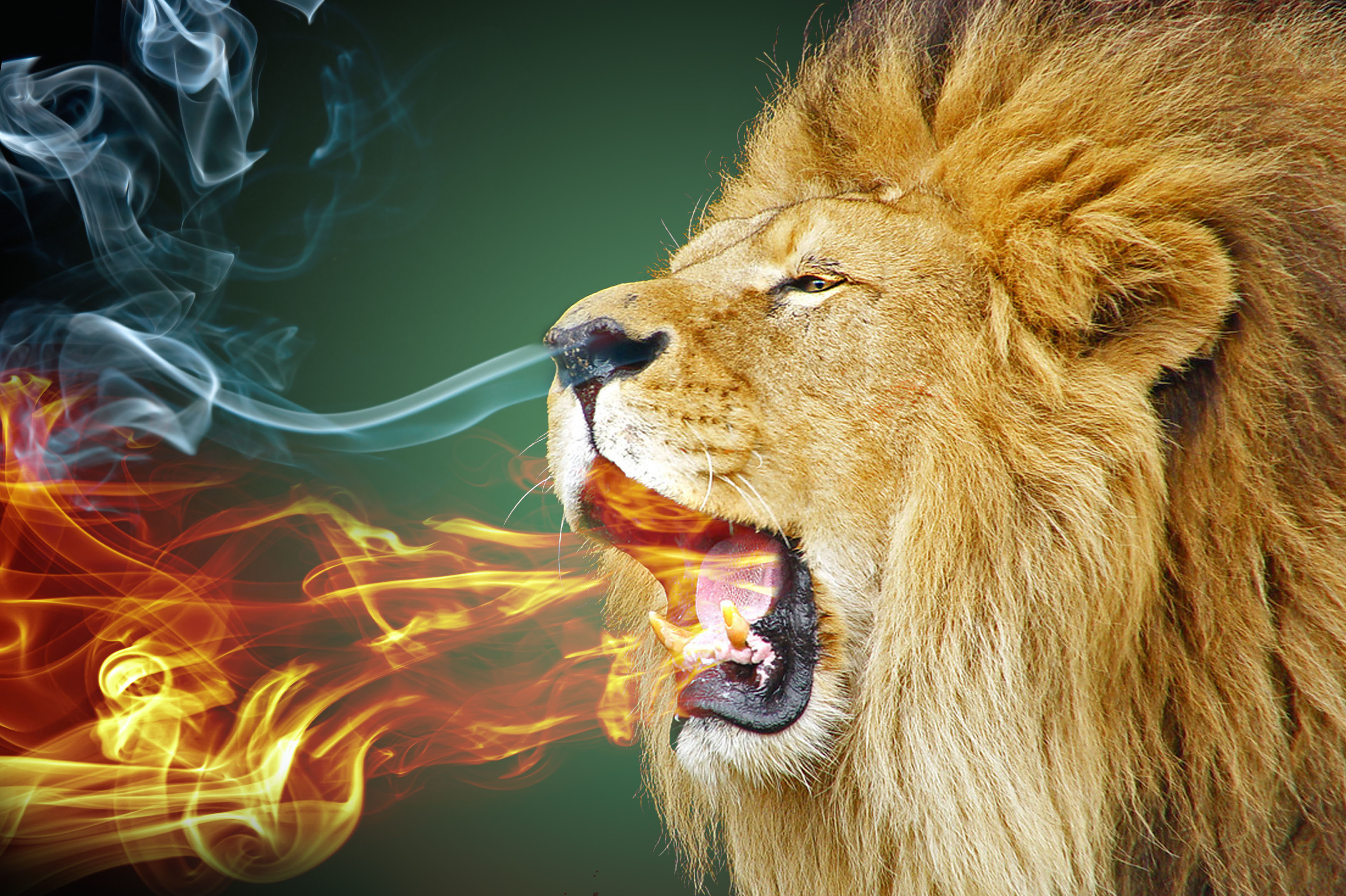 photoshop怎么做同样的圆修饰,photoshop教程应用填充和调整图层